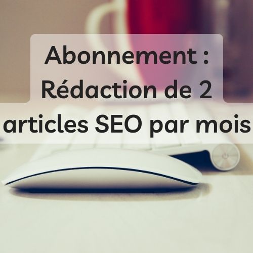 Abonnement 2 articles Rédaction web SEO