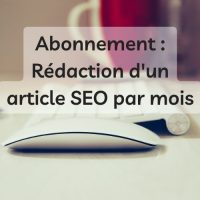 Abonnement 1 article Rédaction web SEO