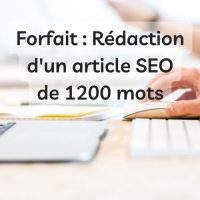 Rédaction 1 article SEO de 1200 mots